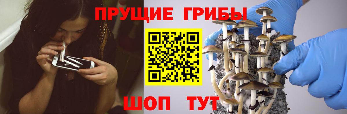Псилоцибиновые грибы Cubensis Бугуруслан